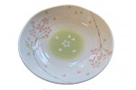CP1600 DEEP PLATE